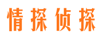 西乡找人公司